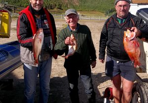 Die opwinding van hengel